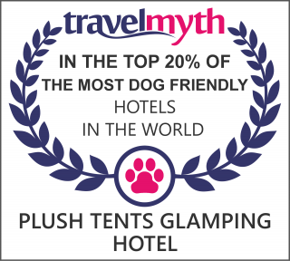 best dog friendly hotels in Chichester