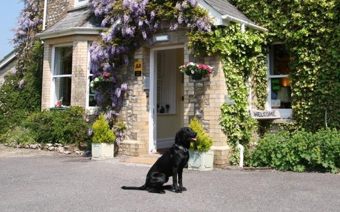 Top 15 DogFriendly Hotels in Devon UK